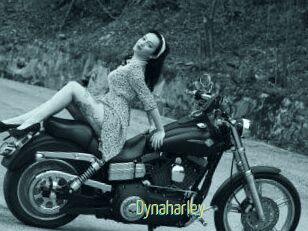 Dynaharley