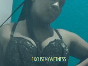 EXCUSEMYWETNESS