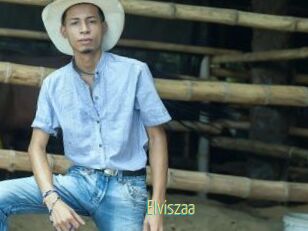 Elviszaa