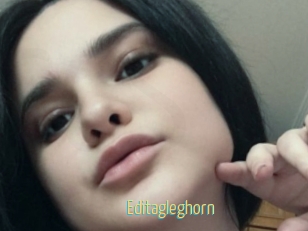 Editagleghorn