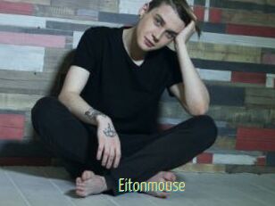 Eitonmouse