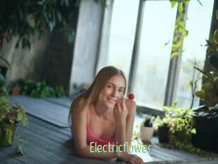 Electricflower