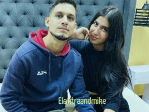 Elektraandmike