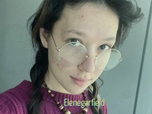 Elenegarfield