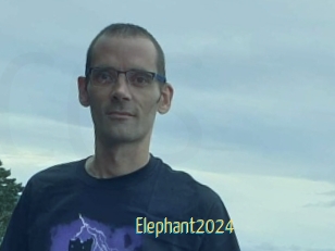 Elephant2024