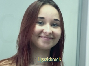 Elgaalsbrook