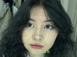 Elgacarls