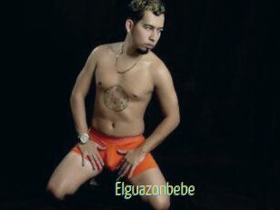Elguazonbebe