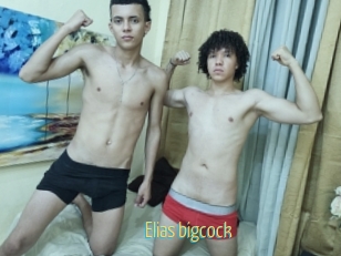 elias_bigcock Chaturbate Cam Sexe