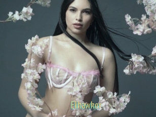 Elihawker