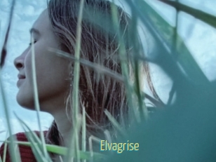 Elvagrise