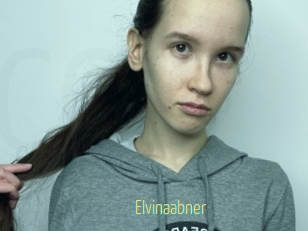 Elvinaabner
