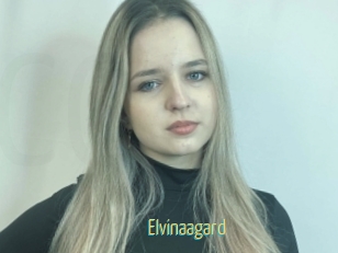 Elvinaagard