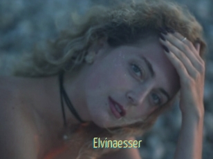 Elvinaesser