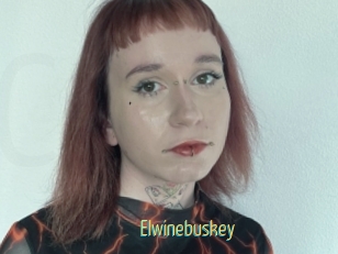 Elwinebuskey