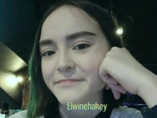 Elwinehakey