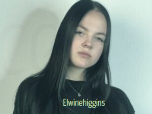 Elwinehiggins