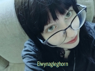 Elwynagleghorn