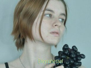 Elwynahessel