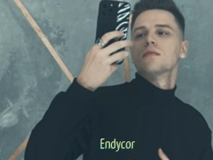 Endycor