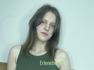 Erlenebeech