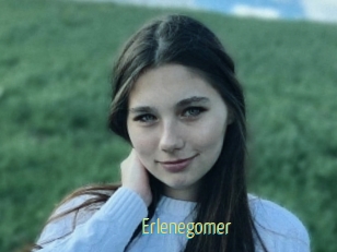 Erlenegomer
