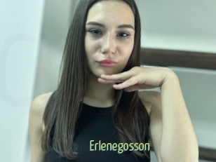 Erlenegosson