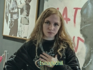 Esmagledhill
