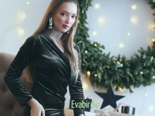 Evabirdie