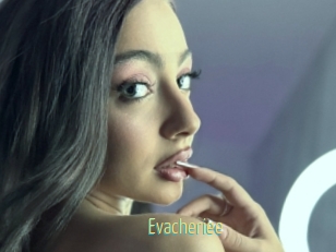 Evacheriee
