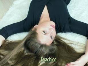 Evachice