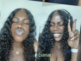Evamae