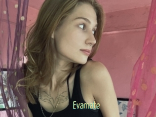 Evamate