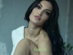 Evapure