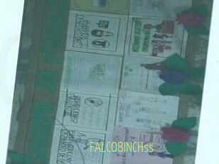 FALCO8INCHss