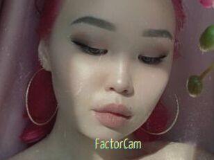 FactorCam