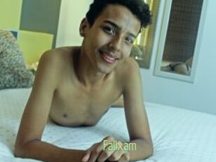 Fallxam