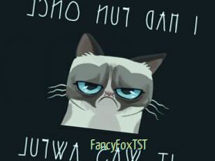 FancyFoxTST