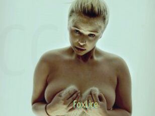FoxLice