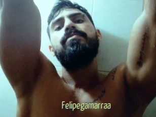 Felipegamarraa