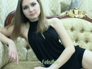 Felisiflow