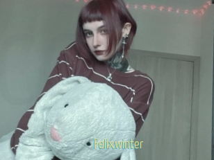Felixwinter