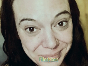 Filledebois
