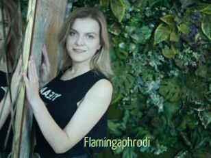Flamingaphrodi