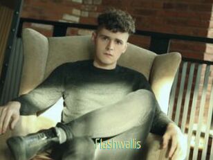 Flashwallis