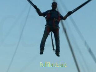 Fullfilurdesire