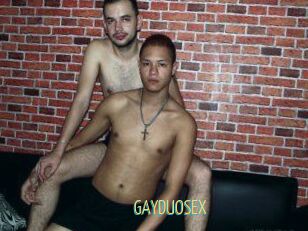 GAY_DUO_SEX