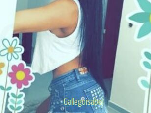 Gallegoisabel