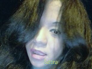 Gattina
