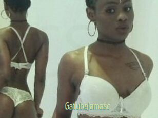 Gatubela_masc